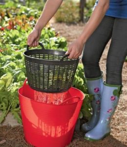 Réutiliser l’eau de rinçage des légumes afin d’arroser les plantes avec.