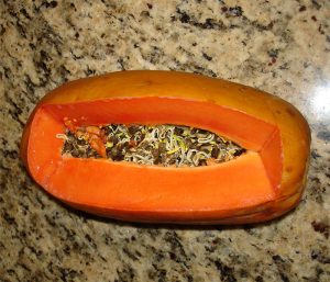 Drôles de graines de papaye