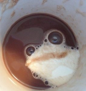 Une grenouille dans le café ?