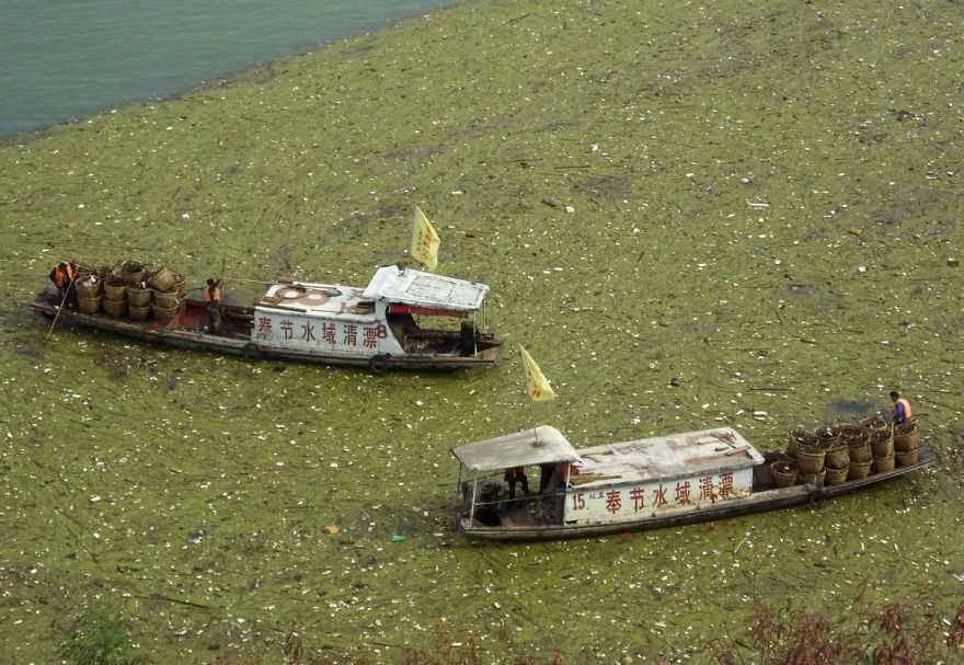Des ouvriers nettoient des ordures flottantes sur le fleuve Yangtsé