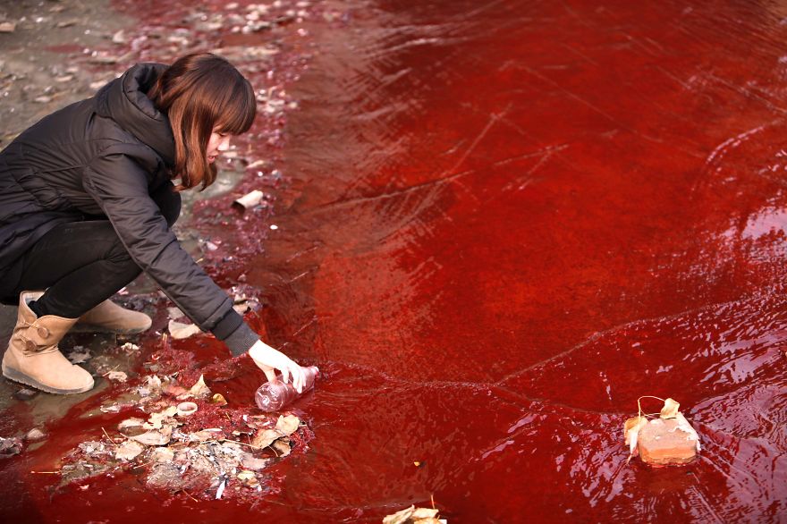 Un journaliste prend un échantillon d’eau polluée rouge de la rivière Jianhe